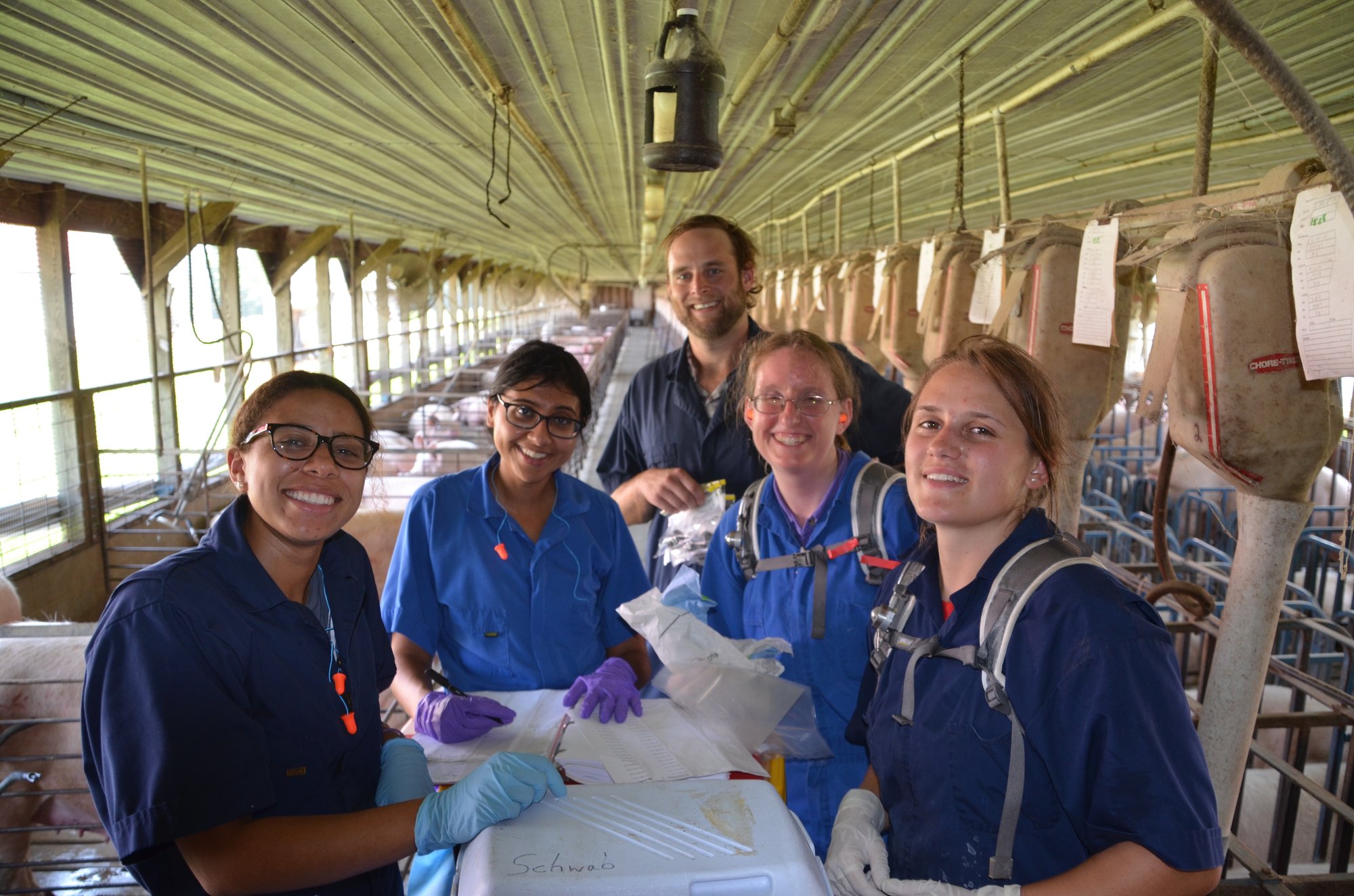 Group of people in scrubs around a table at a pig farm