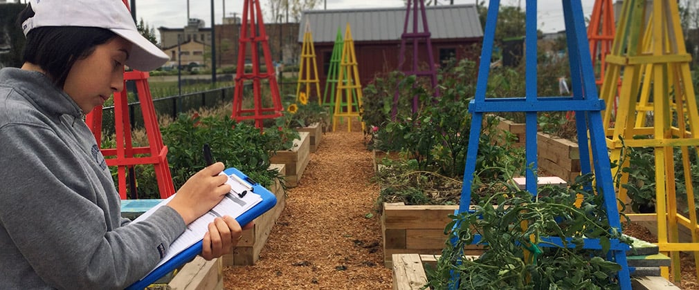 Young woman with a clipboard at in a garden with colorful structures for climbing vines